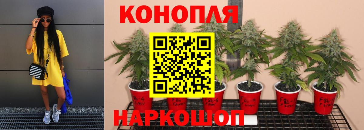 Шишки марихуана White Widow  МАРИХУАНА конопля  Каннабис семена  Полевской  Вход с VPN 